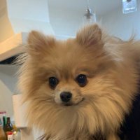SETZY (@tjrtectblux1x3u) 's Twitter Profile