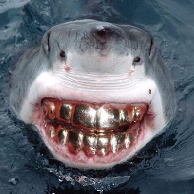 wyongEason's profile picture. c