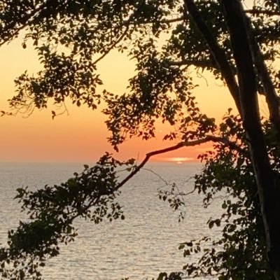 kiransarvepalli's profile picture. Silent observer