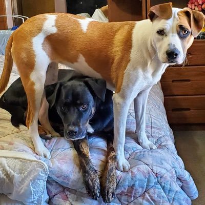 MootpointJon's profile picture. If you are like me   and I know I am…