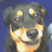 eggbox23's profile image