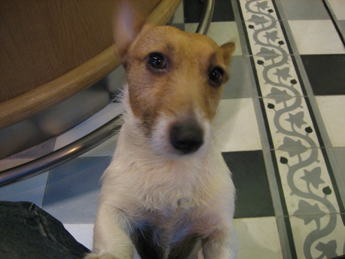 SophieOGorman's profile picture. Film maker/Writer Director/Comedy and human interest/Love food with garlic!/Singing and listening to music changes my mood STAT