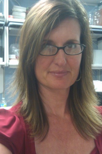 all things e @my library...reader, tweeter, creator