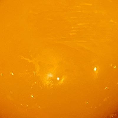 morimorigohanq's profile picture. すぽんじぼぶ