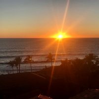 Susanne (@witili) 's Twitter Profile