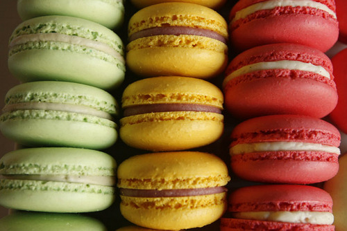 Chicago's first ever hand-made Ice Cream and Macaron cart.