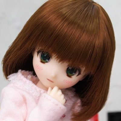 2011年にピュアニーモから1/6ドール沼に落ち、カメラとミニチュア集めにもハマる。入れ目の魅力に取り憑かれ今では尾櫃制服計画がメインに。同シリーズは1/6なのに可愛すぎる！ 乗り鉄好きでJRは完乗。青春18きっぷをこよなく愛する、過去の大垣夜行やムーンライトながらのヘビーユーザー。聖人済。