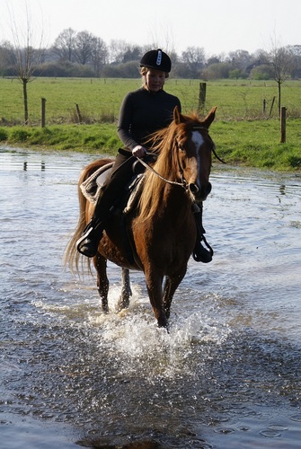 Sabrina_Drosten's profile picture. Studente Business ICT en Management te Arnhem
Medewerker @buro302