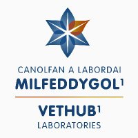 VetHub1 | Canolfan a labordai milfeddygol1(@VetHub1) 's Twitter Profile Photo