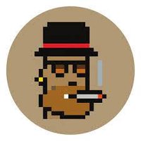 amoNFT | ICONIC APE CLUB (@amonft) 's Twitter Profile