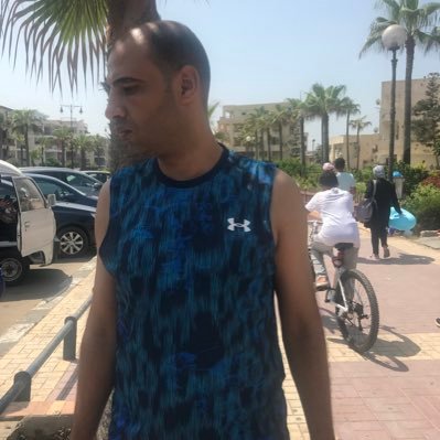 alymoktar010's profile picture. 