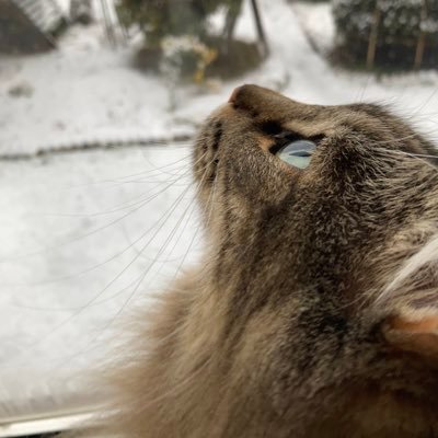 ルルさんさんのプロフィール画像