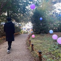 sho (@ttt_bish) 's Twitter Profile