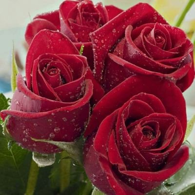 IqraaaaMalik's profile picture. A perfectly imperfect human 😌