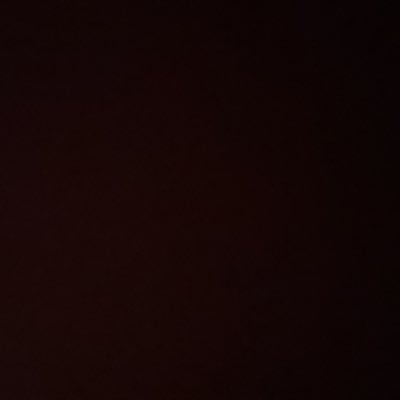 aliciakaidenryb's profile picture. 