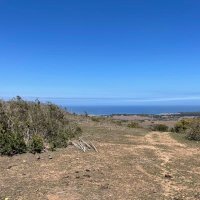 Maria paz (@mpaz17211) 's Twitter Profile Photo