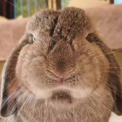 onnsy's profile picture. Front-end Developer | คนแบกโลก