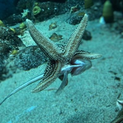 dmydamdam's profile picture. 