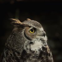 zefe (@zefe973) Twitter profile photo