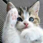 Truls (@trulsejensen) 's Twitter Profile