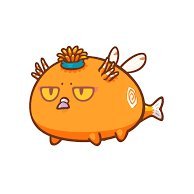 CryptoBiba (@alohatraff) 's Twitter Profile