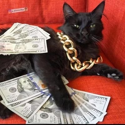 CassiojanJ's profile picture. 