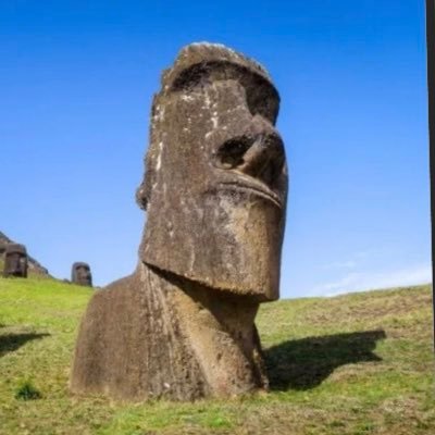 内科専門医/呼吸器専門医 (J-OSLER世代)🗿 無言フォロー失礼します🗿 クソツイ、クソリプばかりですが、御容赦ください🗿