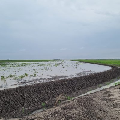 VanKerneels's profile picture. 