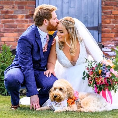 Critical care sister @sth_gccd 🏥 Lead link nurse for pet therapy #humaniseicu 🐶 PGDiP Advancing Professional Practice #vaccinate 💉 #MedTwitter views my own