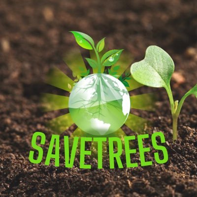 Savetreesnft's profile picture. 💚 SaveTrees We contribute to the environment ♻️ 💚 40% of what is generated will be donated to assotions to replant trees 🪴