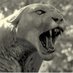 UH Department of Modern and Classical Languages (@uhmcl) Twitter profile photo UH Department of Modern and Classical Languages (@uhmcl) Twitter profile photo