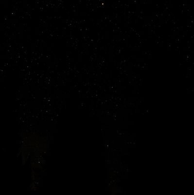 Fares54688500's profile picture. if you have something
      you never had

you have to do something
   you've never done 😕