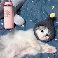 Dinny Sharona (@dinnysharona) 's Twitter Profile