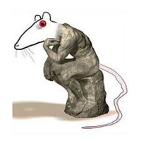 Kepecs Lab (@kepecslab) 's Twitter Profile Photo Kepecs Lab (@kepecslab) 's Twitter Profile Photo
