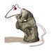 Kepecs Lab (@kepecslab) Twitter profile photo Kepecs Lab (@kepecslab) Twitter profile photo