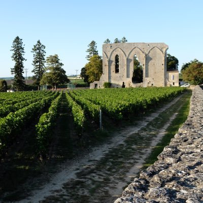 Hay demasiados vinos, poco tiempo y mucha tontería.