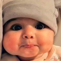 Abdo (@bdalqadralsyd2) 's Twitter Profile