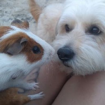 HenrickMoreira2's profile picture. 