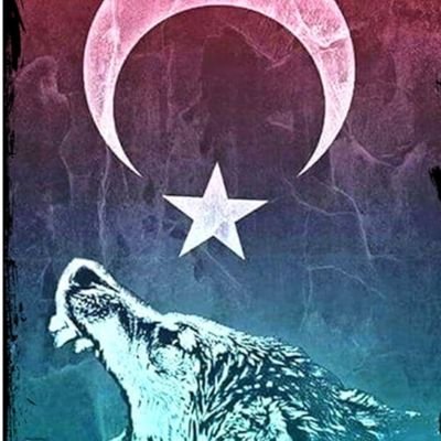 Omer15151515's profile picture. .