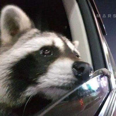 myDevine_flower's profile picture. single.