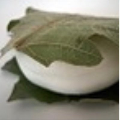 鈴木薫