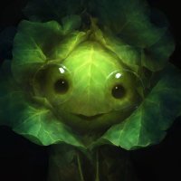 Nnfr (@nenufrsia) 's Twitter Profile