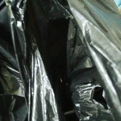 fwdh16's profile picture. اااااااااااا