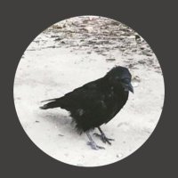 tilak (@sylviatilak) 's Twitter Profile Photo tilak (@sylviatilak) 's Twitter Profile Photo