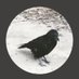 tilak (@sylviatilak) Twitter profile photo tilak (@sylviatilak) Twitter profile photo