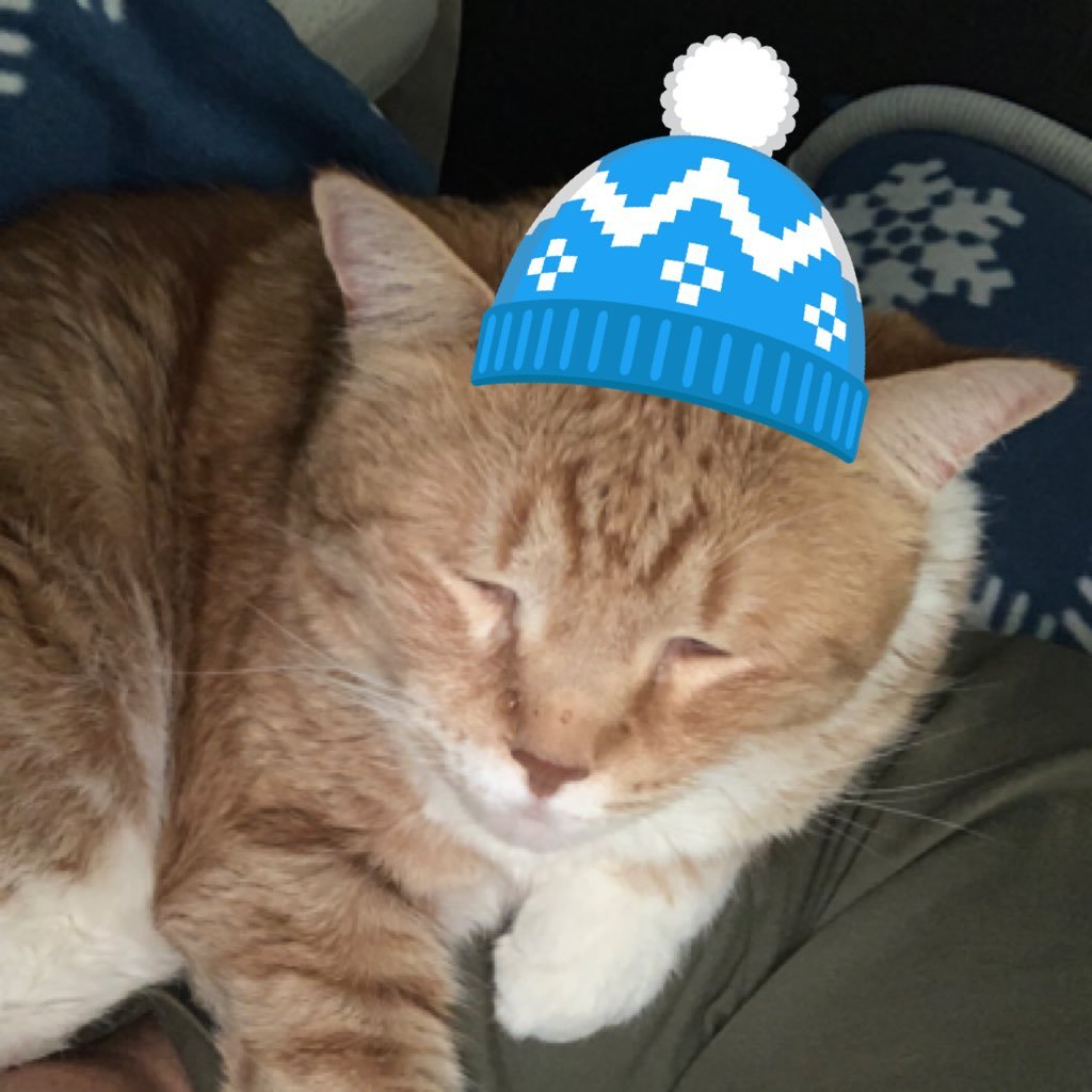 MSportznut's profile picture. Crayfish enthusiast, “Professional” sommelier. Drum corps, SCSU hockey, U Utah, MN Vikings, T-woofs, Twins and Wild fan.