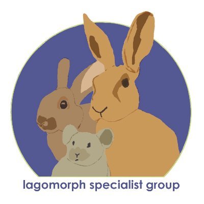 Official account of the IUCN's Lagomorph Specialist Group. We are interested in research and conservation of rabbits, hares, and pikas around the world!