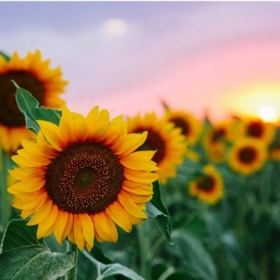 jotalr27's profile picture. 