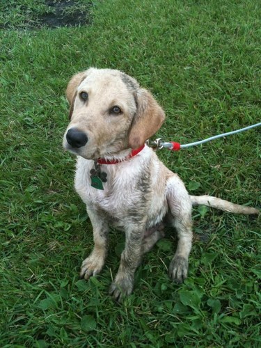 KE_6012's profile picture. 