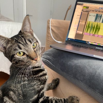 Willa Rubin Profile